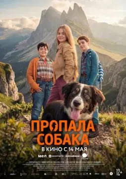 Пропала собака